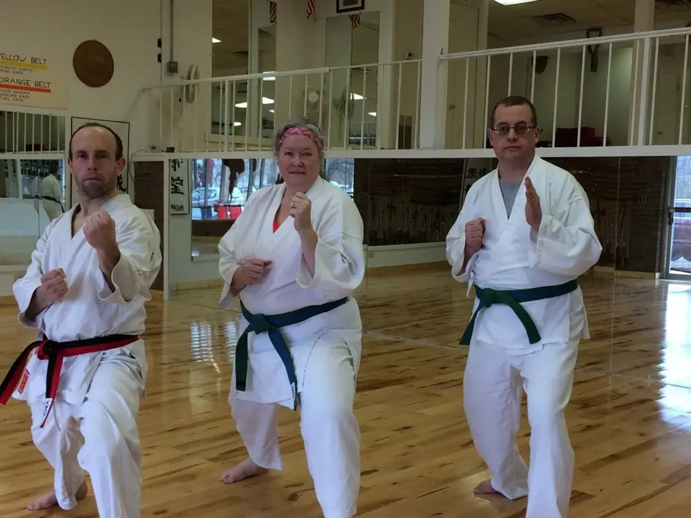 Teen & Adult Karate class at Lawrence World Class Karate (photo 2 of 4)