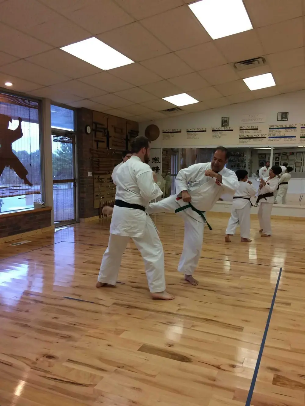 Teen & Adult Karate class at Lawrence World Class Karate (photo 3 of 4)