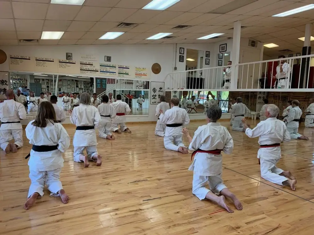 Teen & Adult Karate class at Lawrence World Class Karate (photo 4 of 4)