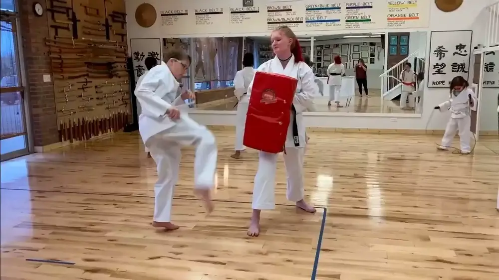 Kids Karate class at Lawrence World Class Karate (photo 3 of 4)