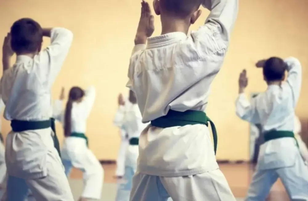 Kids Karate class at Lawrence World Class Karate (photo 4 of 4)